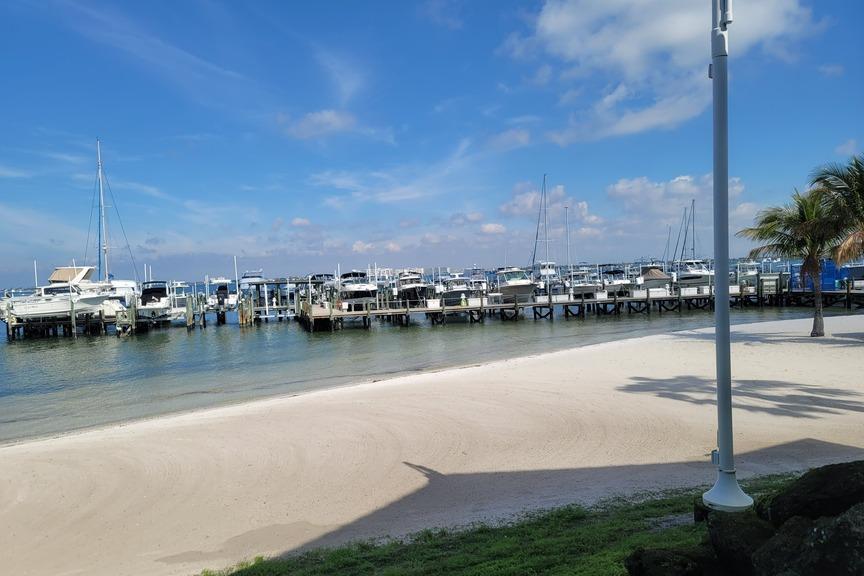 2019 costa sunglasses